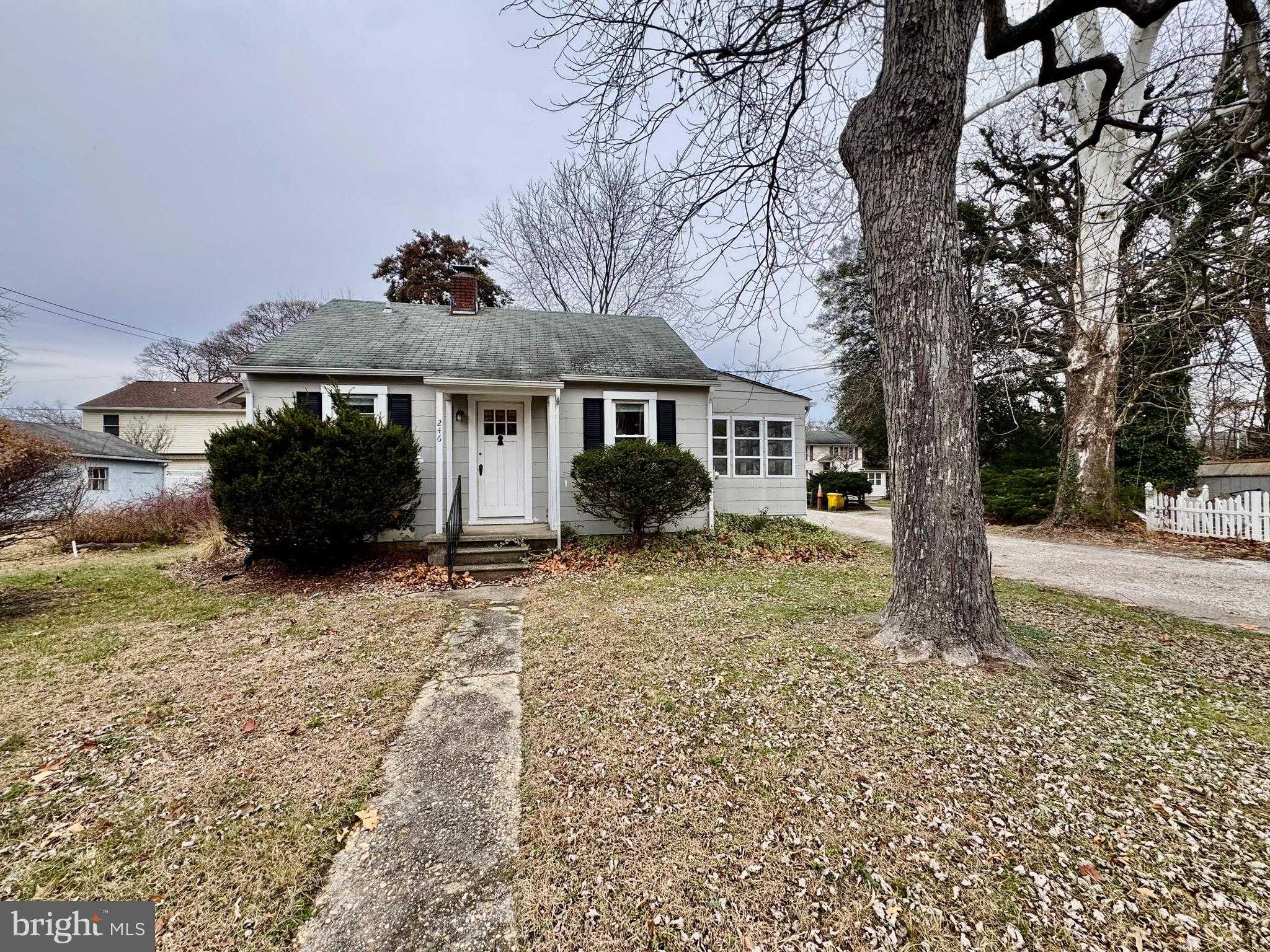 246 Cypress Creek Rd photo 4