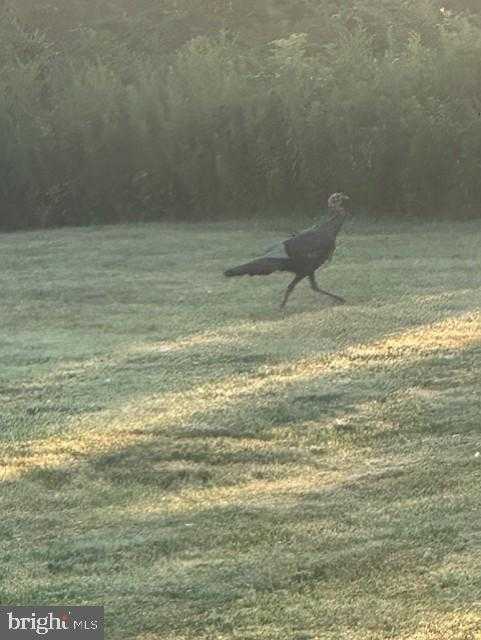 1870 General Potter Hwy photo 67