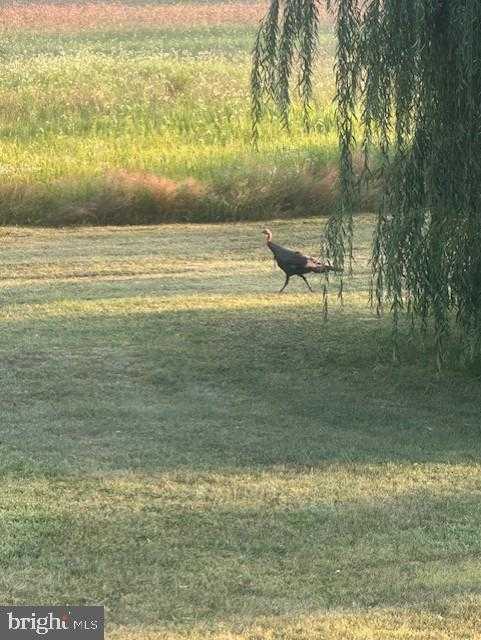 1870 General Potter Hwy photo 70