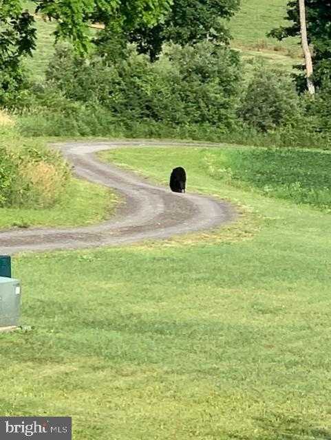 1870 General Potter Hwy photo 79