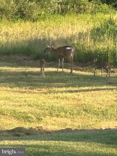 1870 General Potter Hwy photo 82