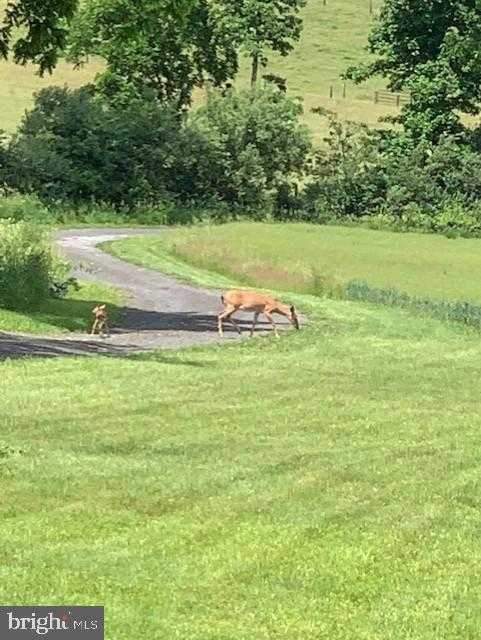 1870 General Potter Hwy photo 90