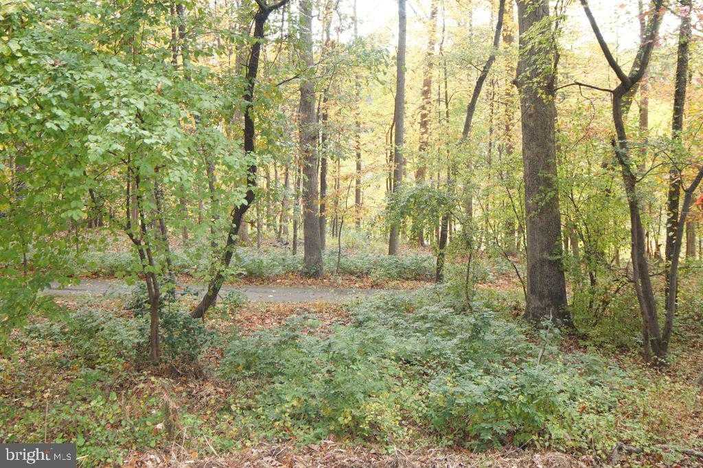 518 Calvin Ln photo 47