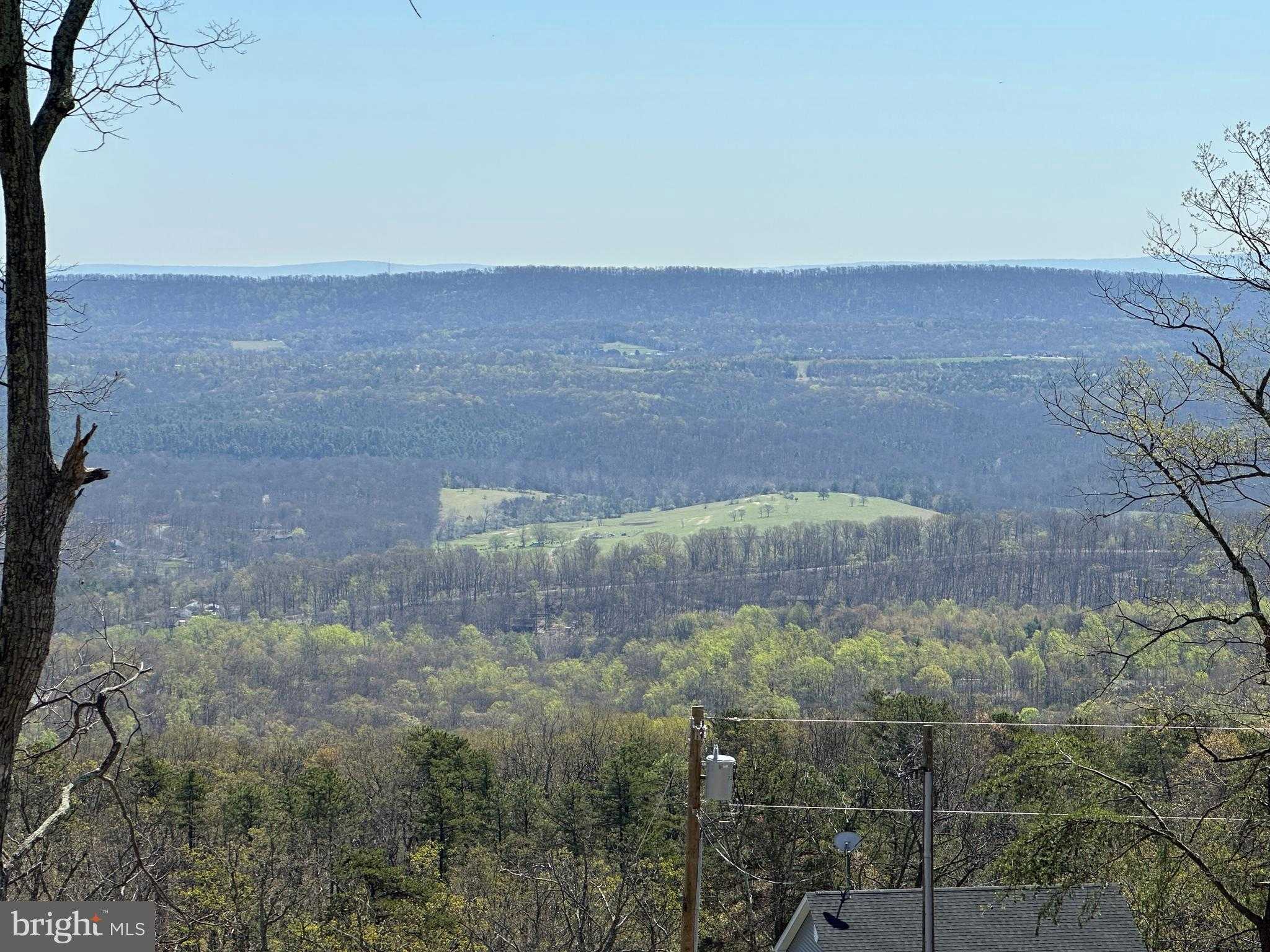 1619 Tomahawk Trl photo 2