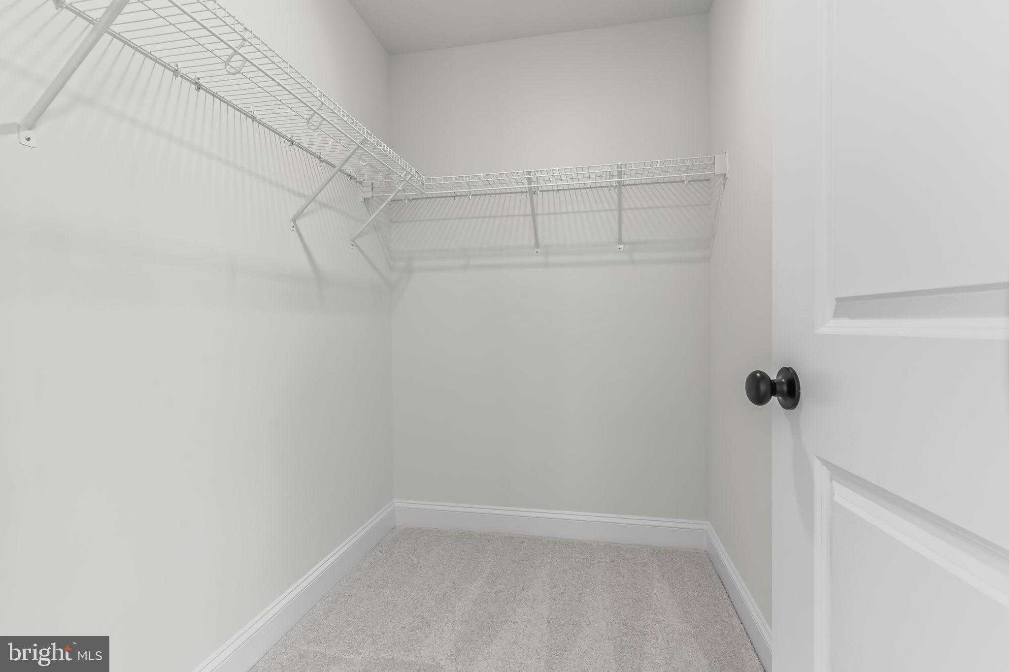 23667 Weeping Willow Way photo 32