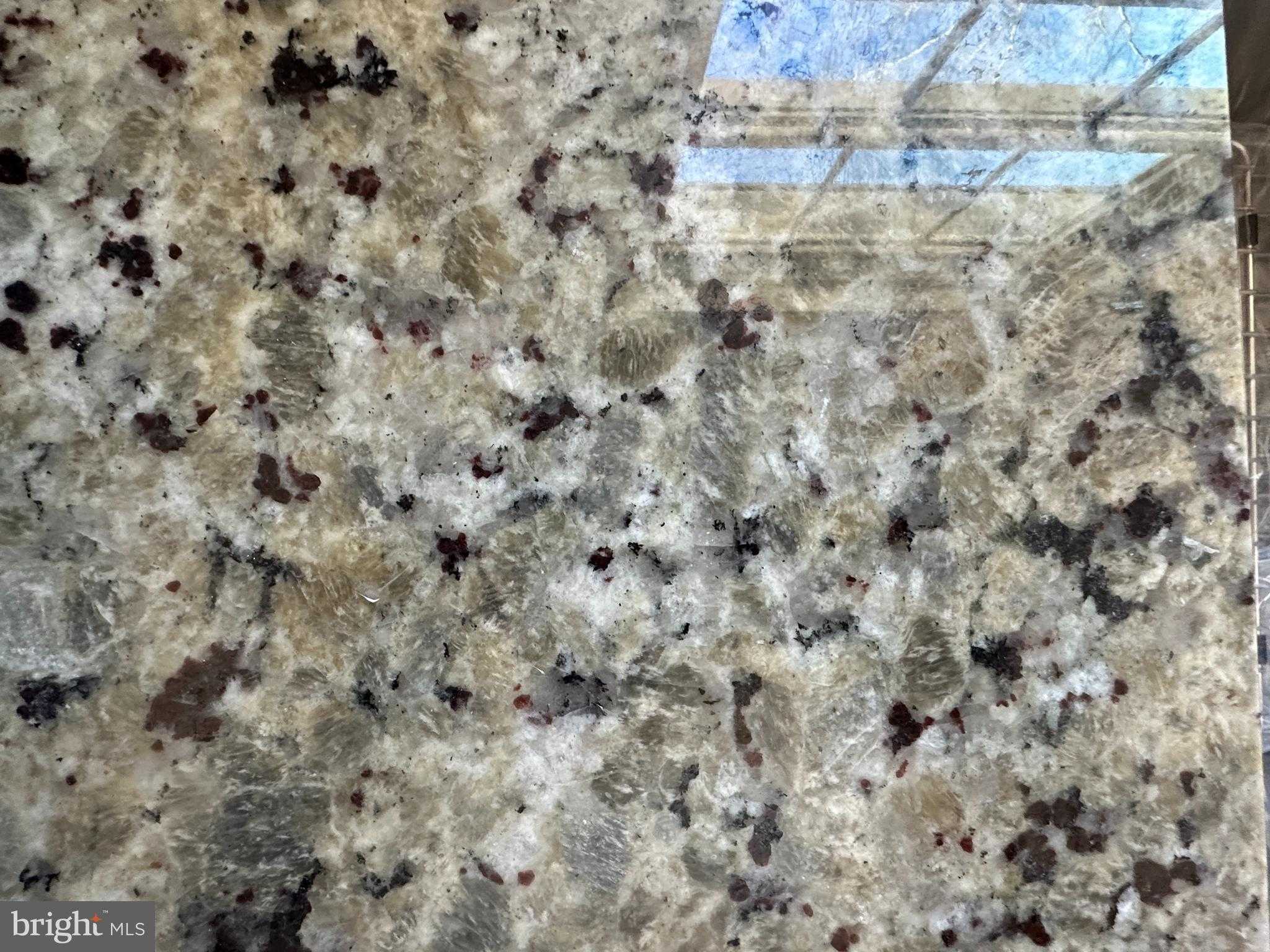 116 Pinto Trl photo 12