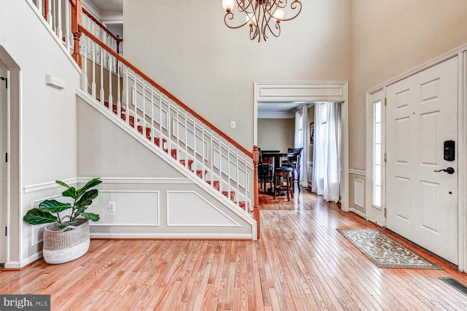 11225 Appaloosa Dr photo 6