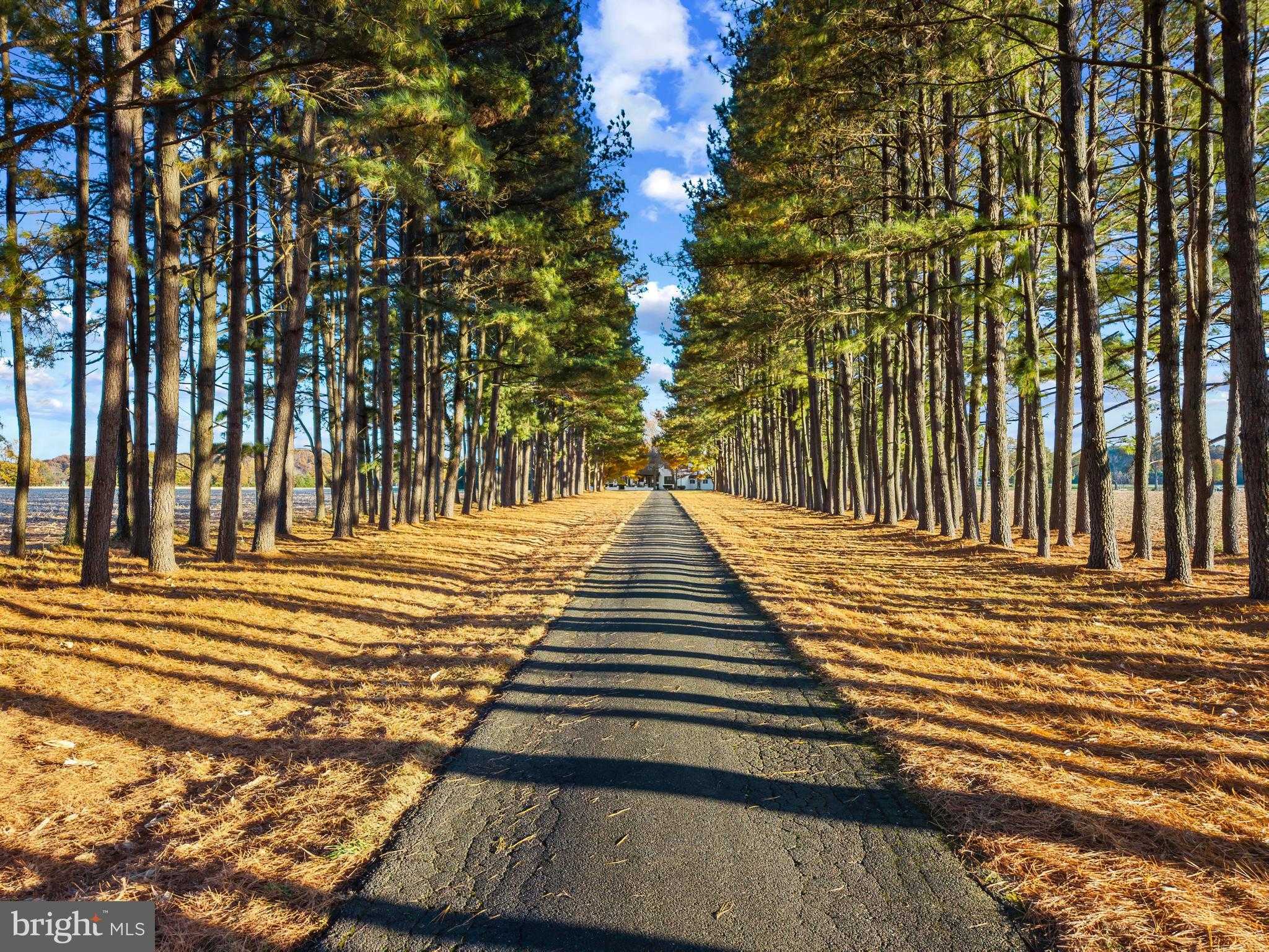 9170 Hunting Creek Ln photo 4