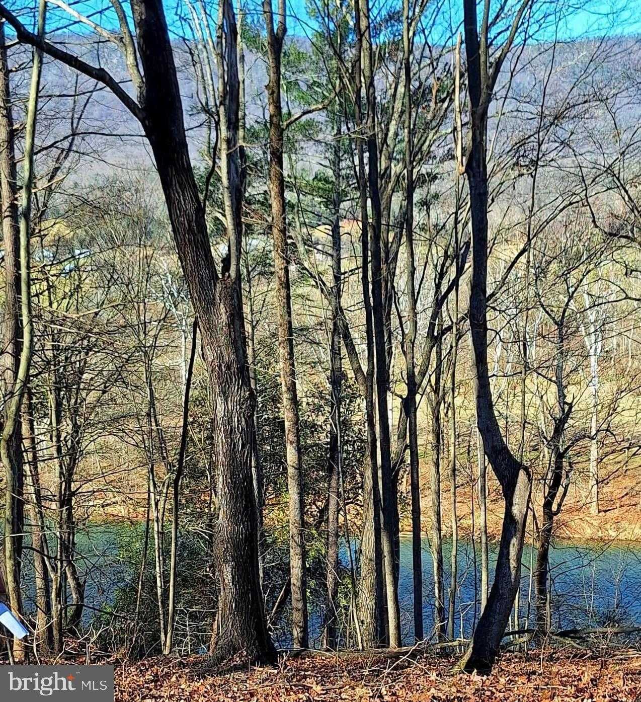 Kaufmans Mill Rd photo 3