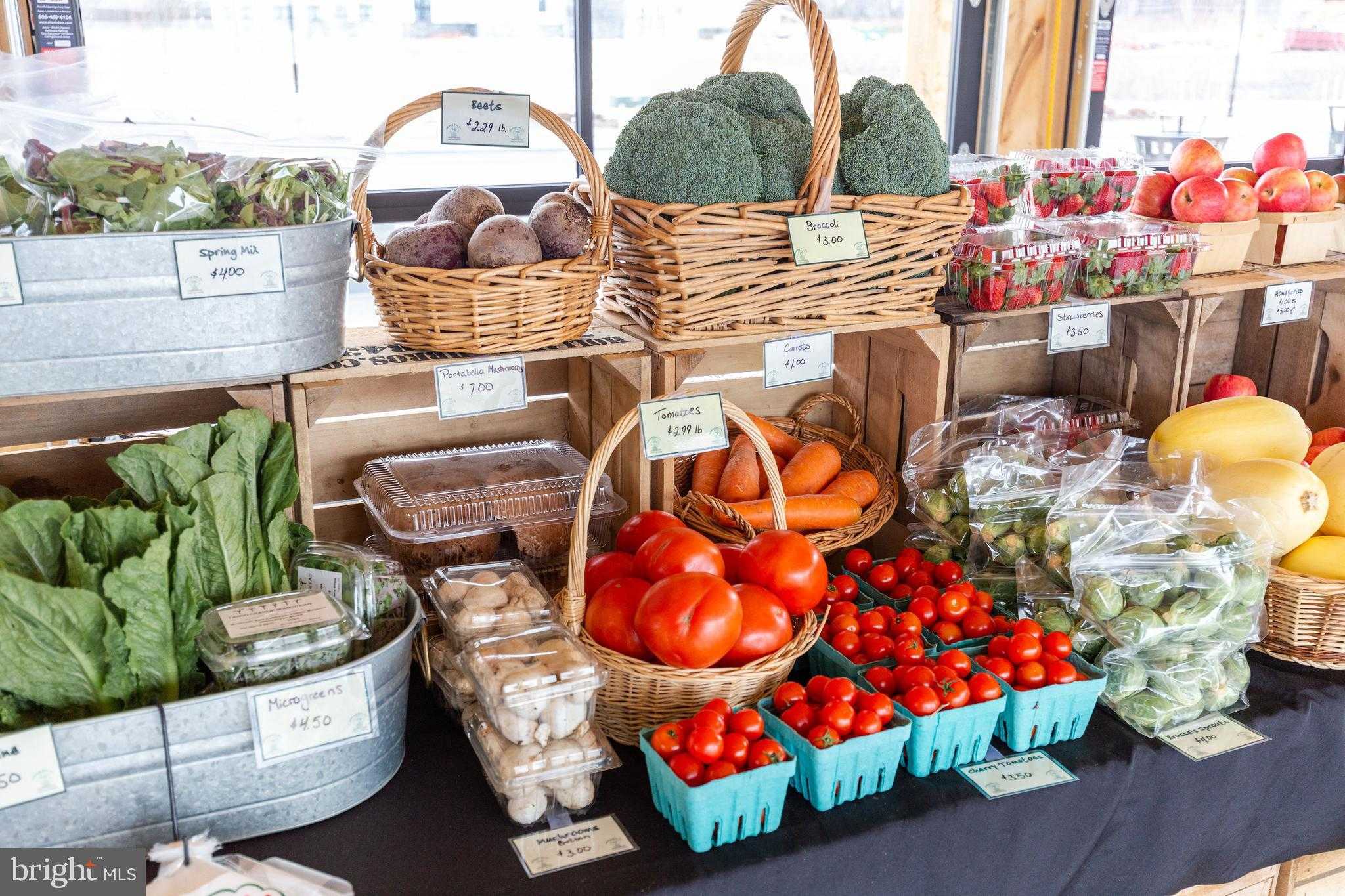 179 Grand Overlook Dr photo 40