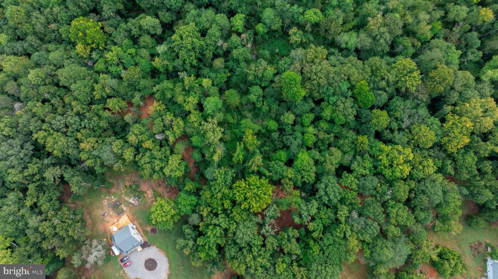 16310 Pleasant Mill Rd photo 3