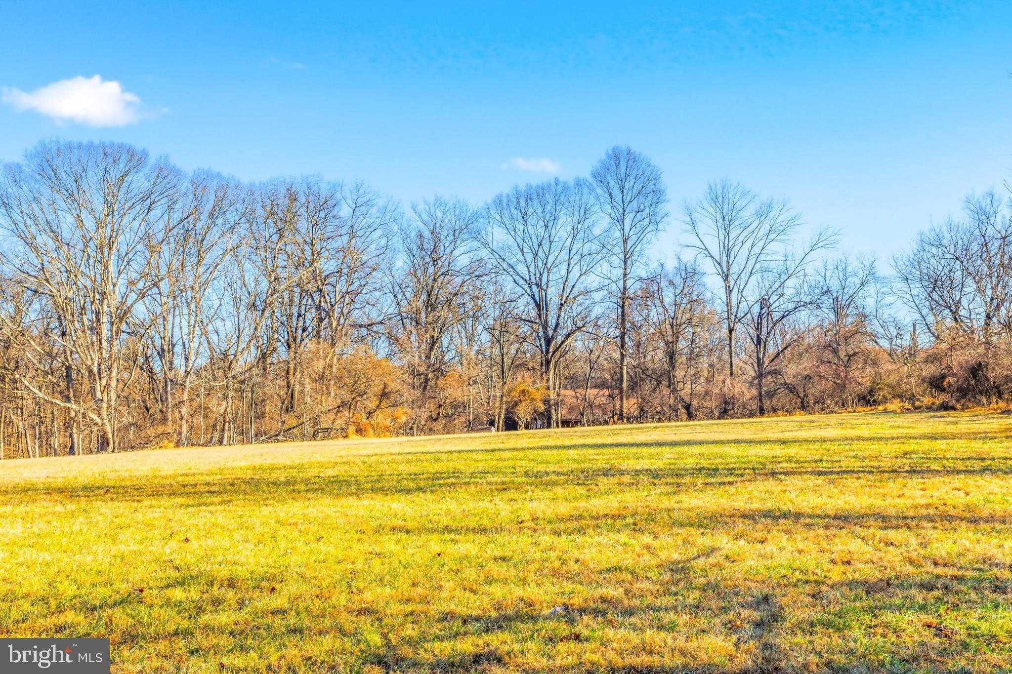 275 Corner Ketch Rd photo 10