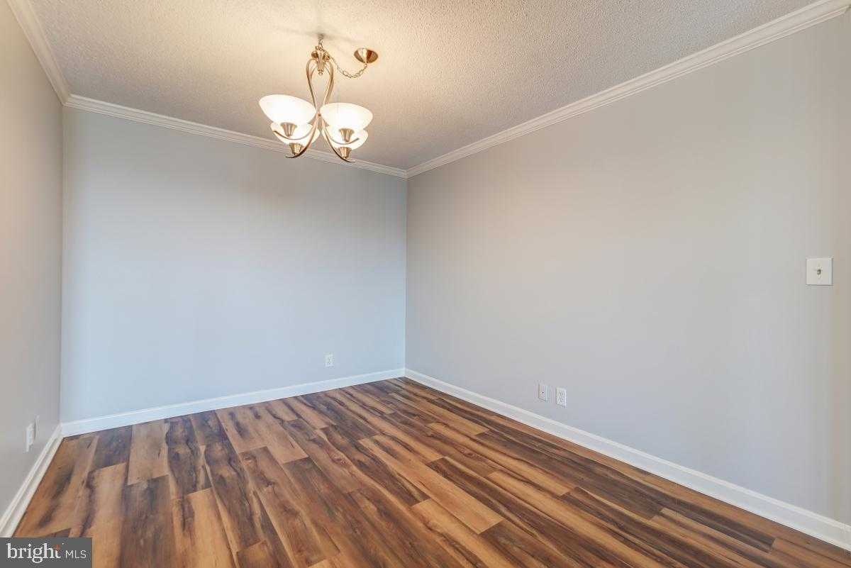 5902 Mount Eagle Dr Apt 1501 photo 10