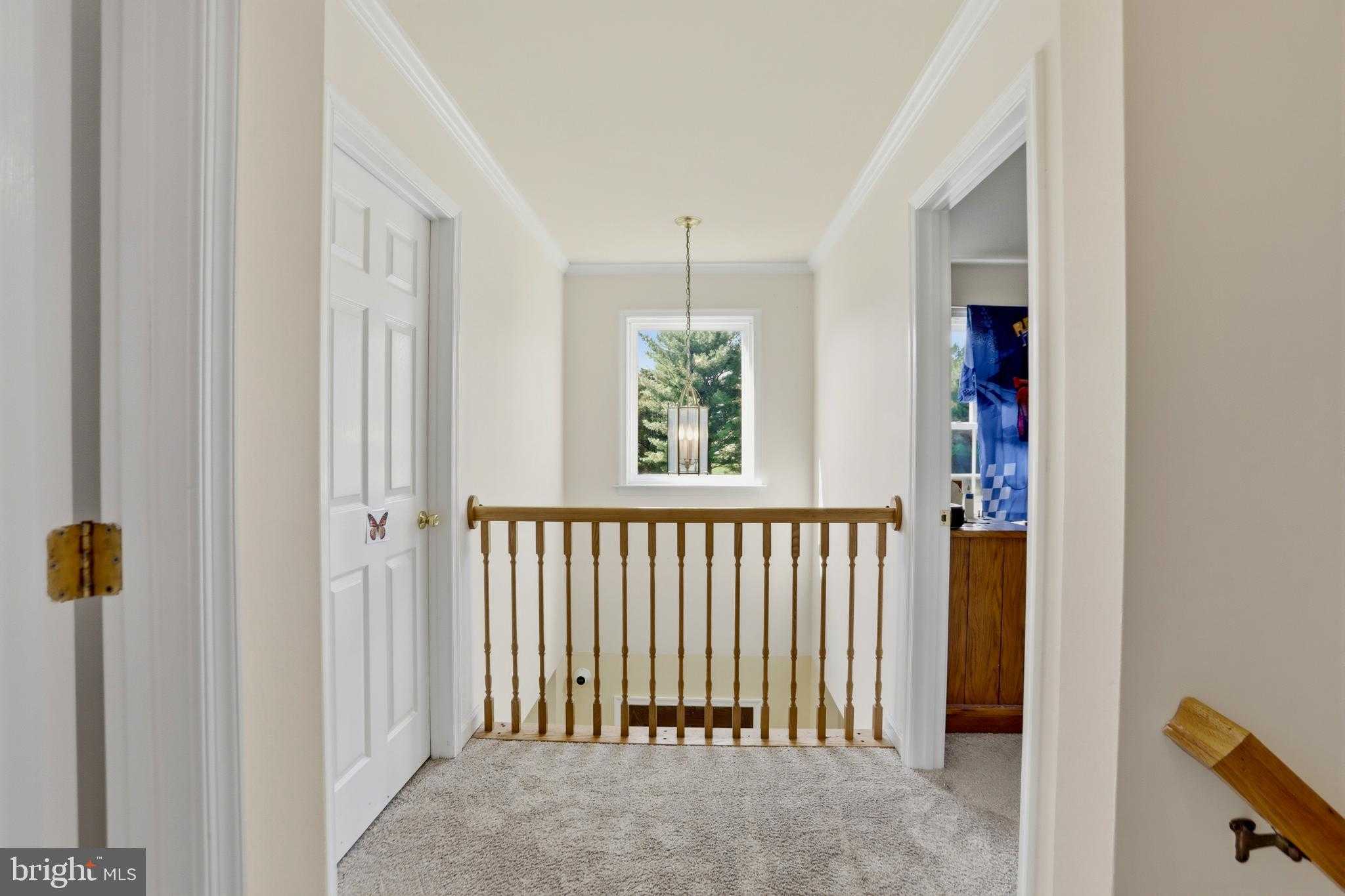 145 Maplewood CT photo 15