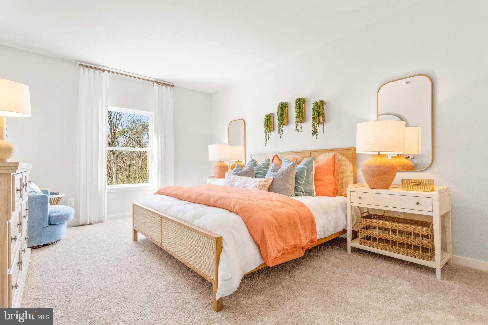 206 Williamson Rd photo 13