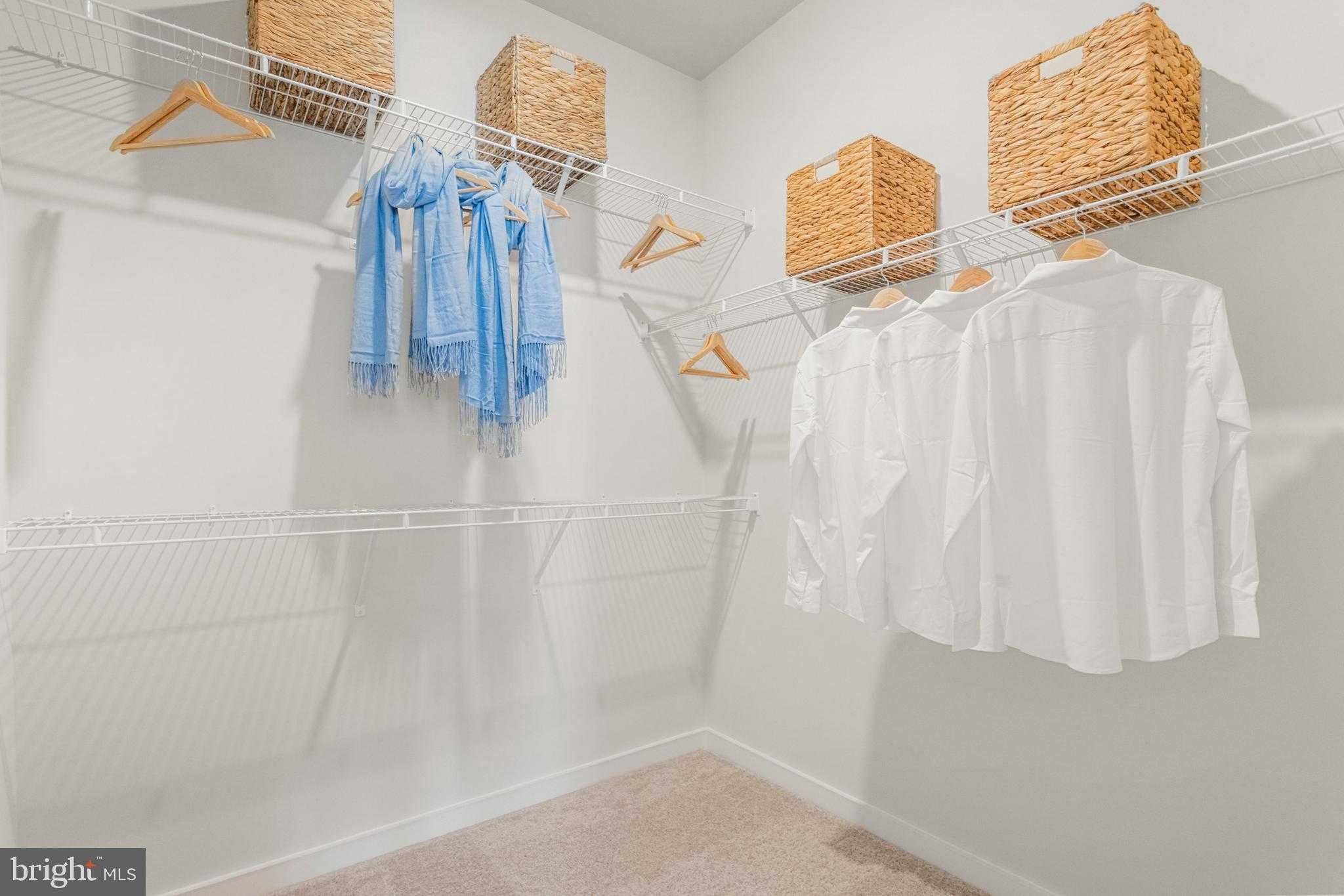 206 Williamson Rd photo 16