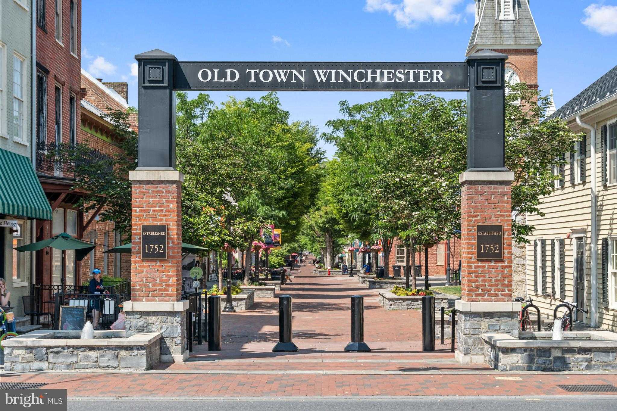 206 Williamson Rd photo 19