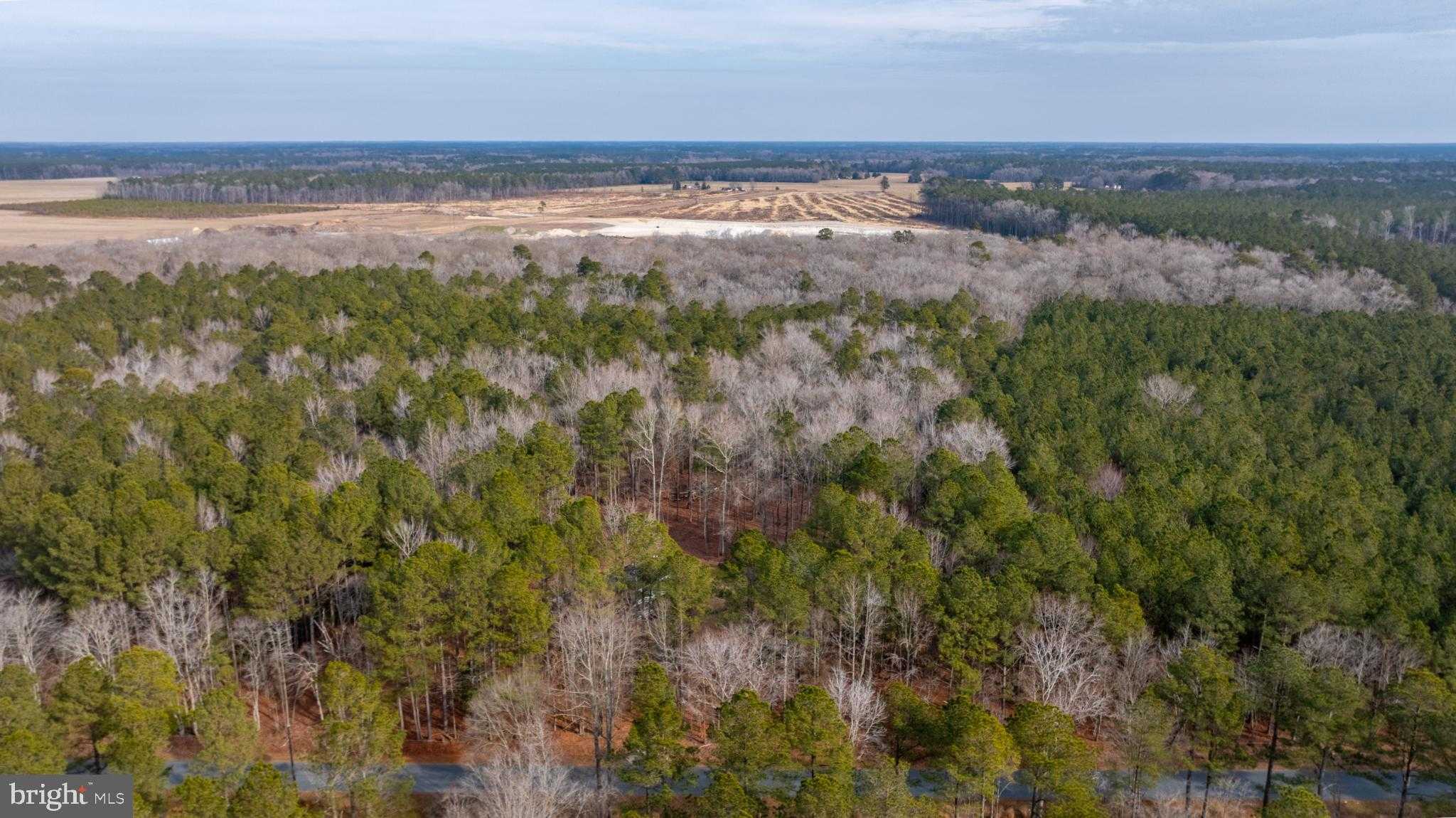 32520 Seatick Rd photo 26