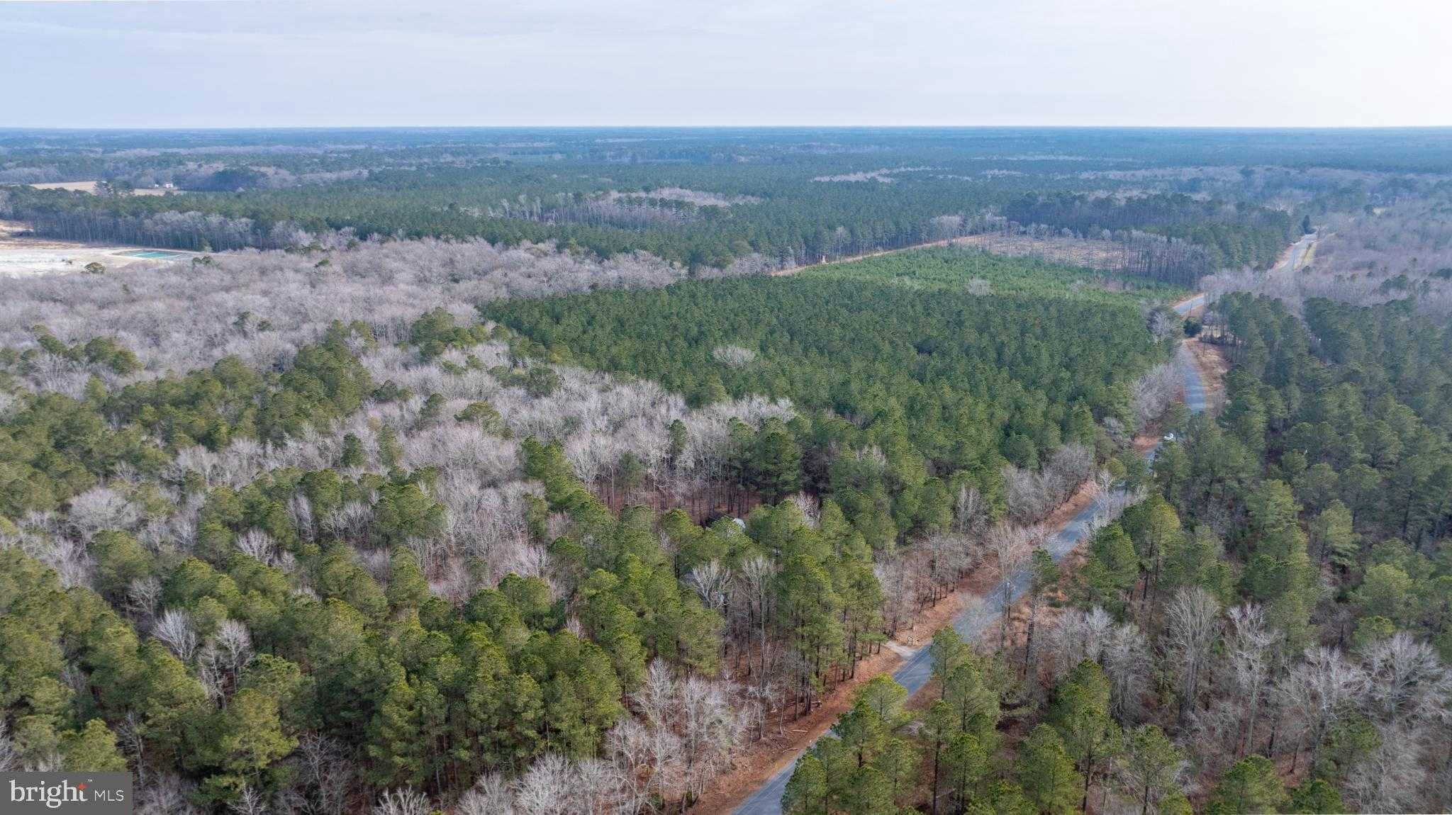 32520 Seatick Rd photo 27