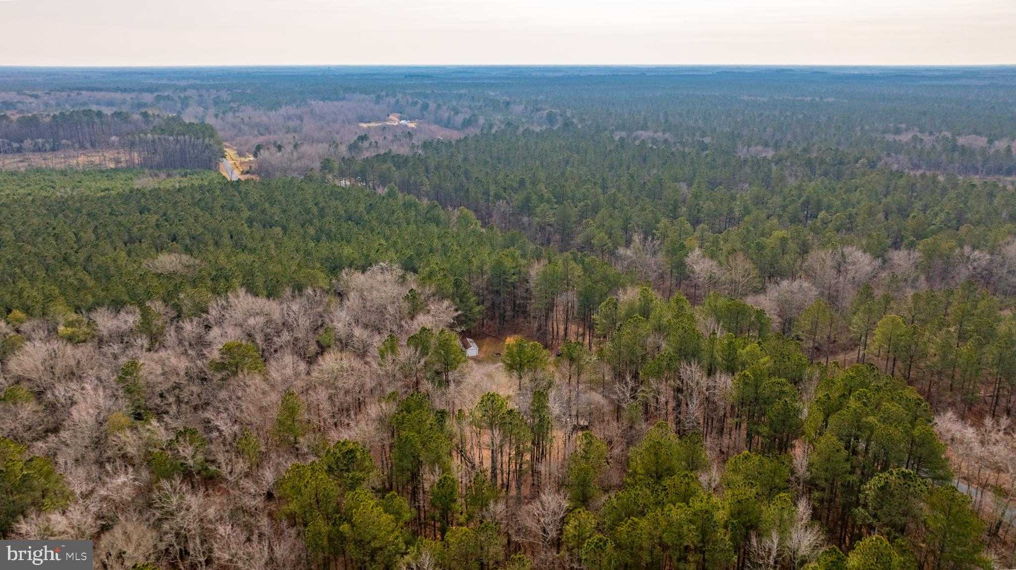 32520 Seatick Rd photo 28