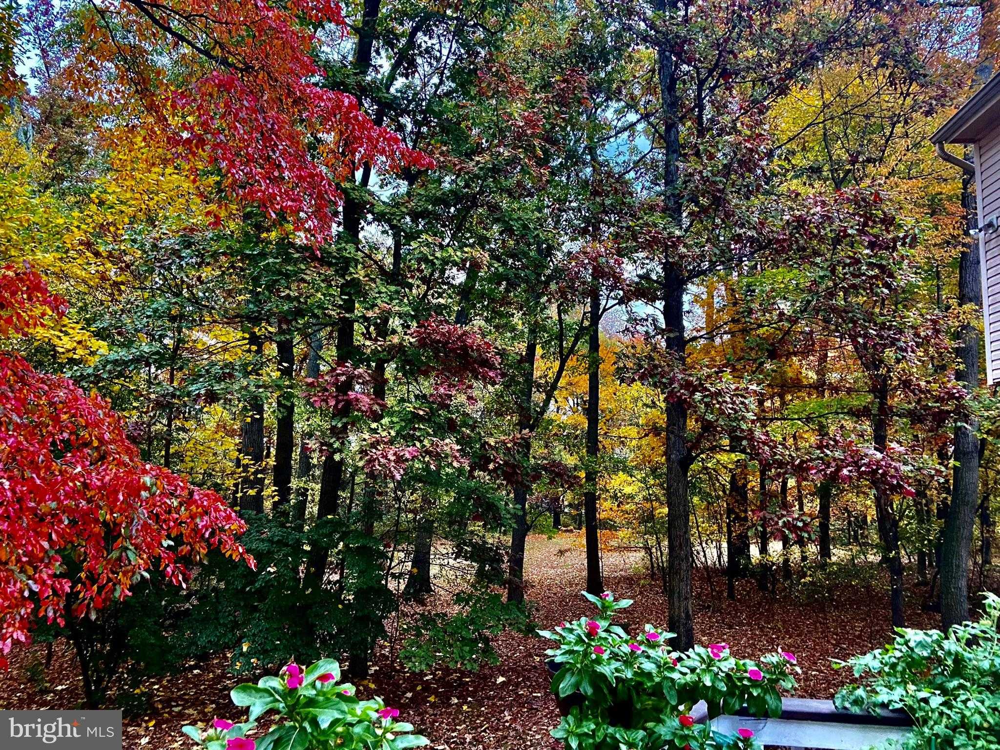 20503 Tanager Pl photo 59