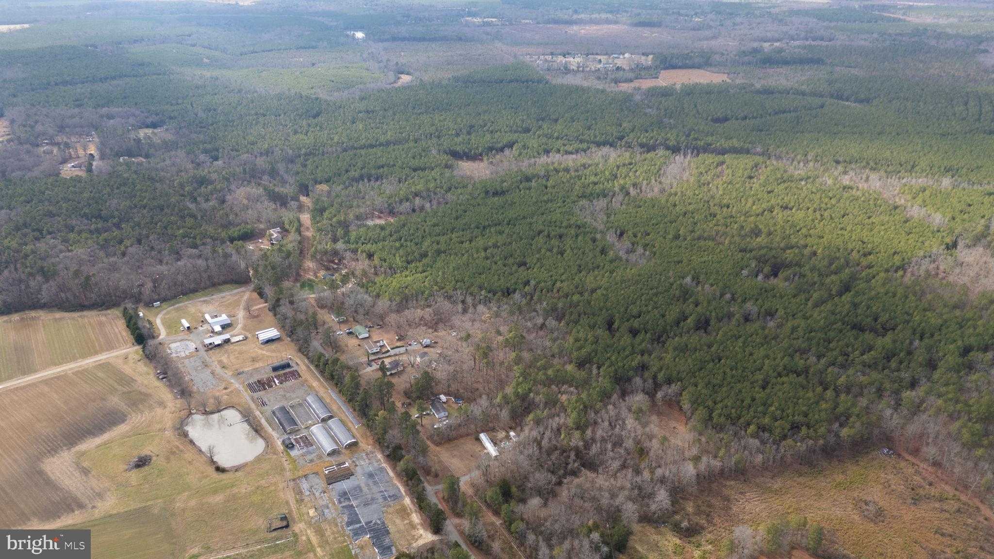 Telegraph Rd photo 3