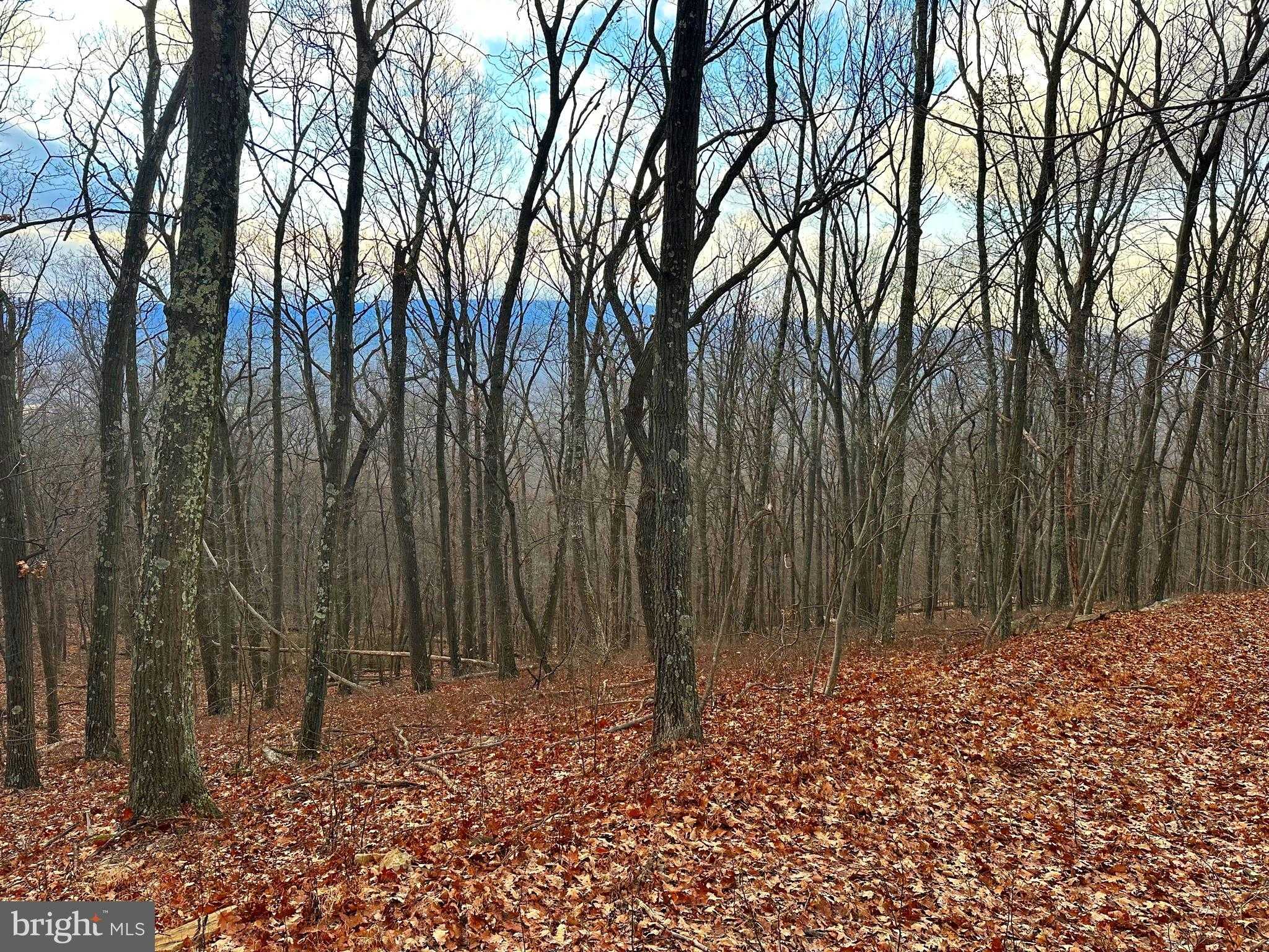 51 Lawyer Ln, Slanesville