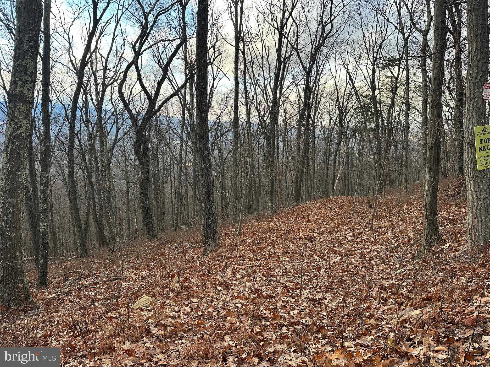 51 Lawyer Ln photo 2