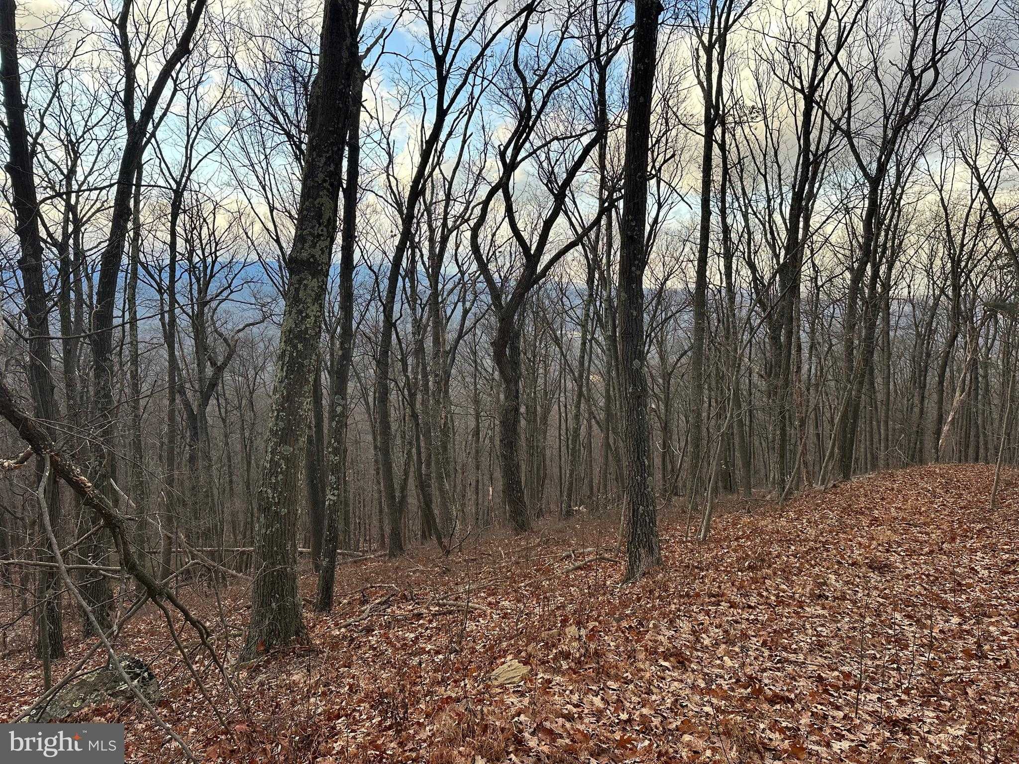 51 Lawyer Ln photo 3