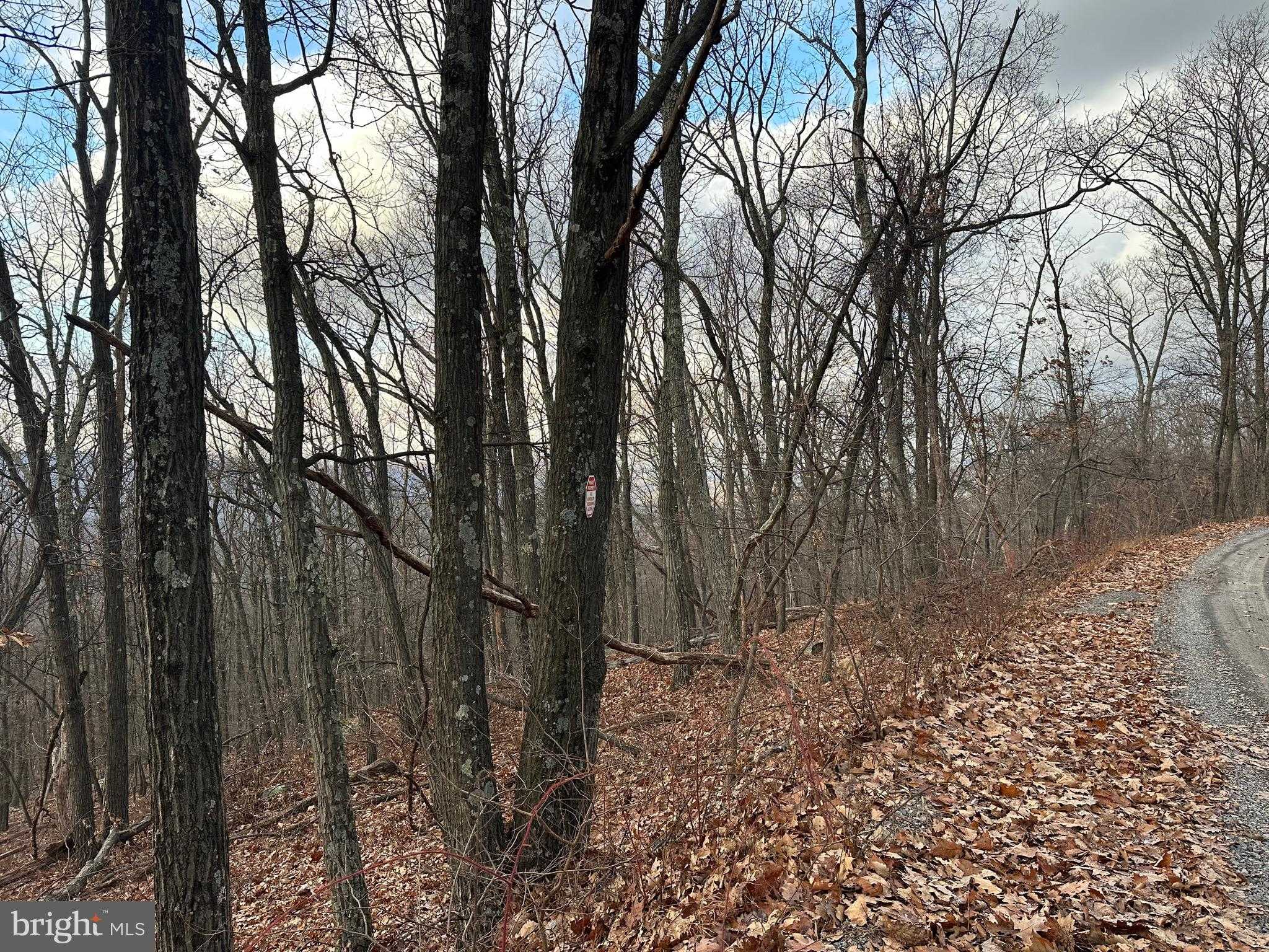 51 Lawyer Ln photo 6