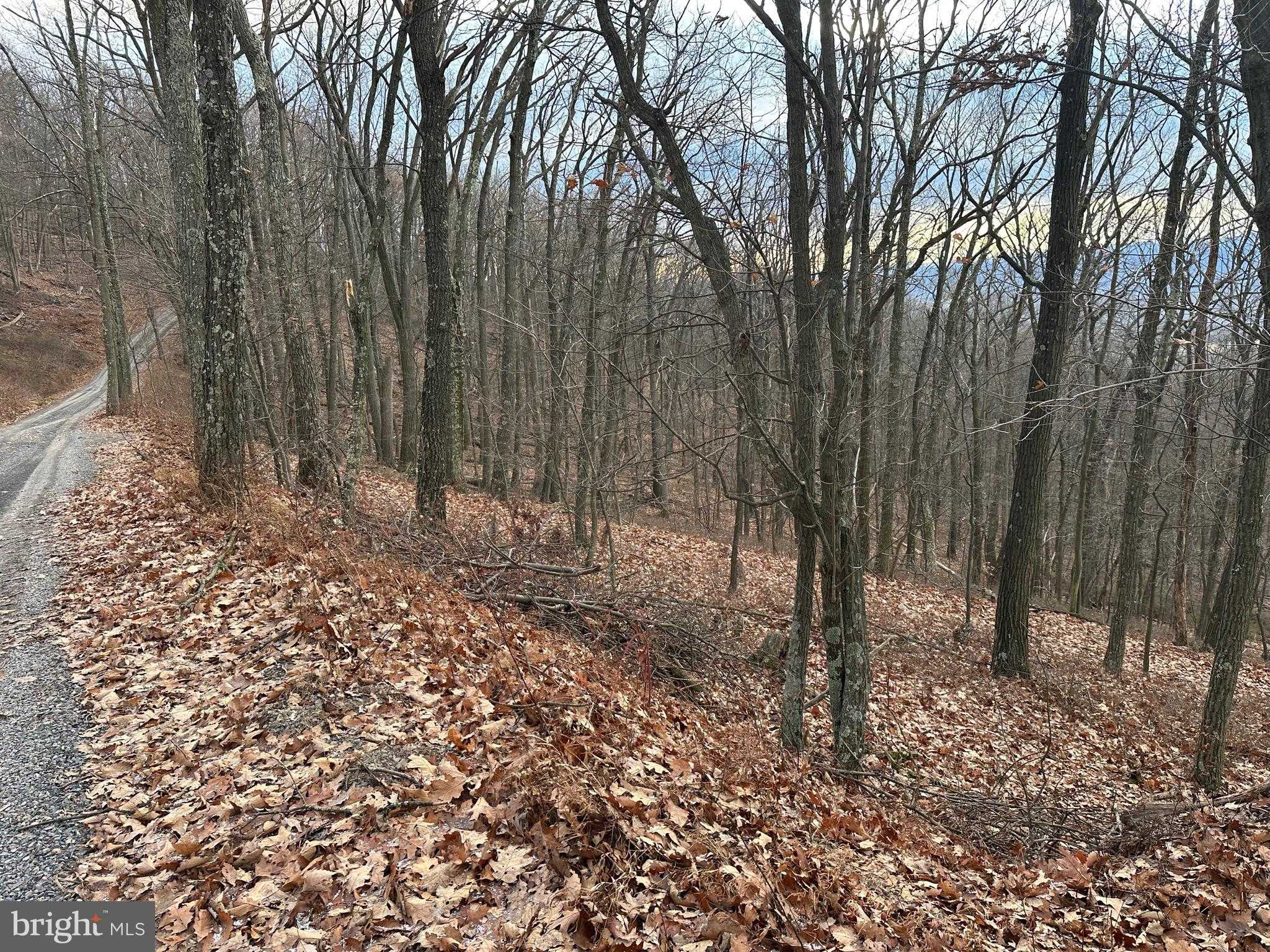 51 Lawyer Ln photo 7