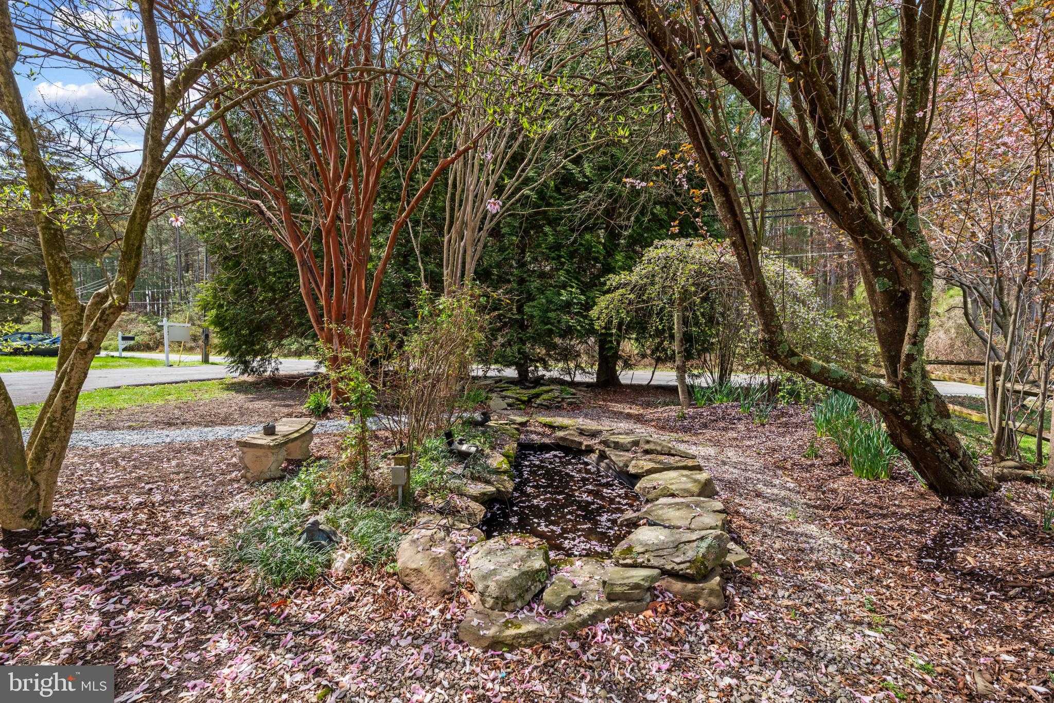 5929 Deale Beach Rd photo 55