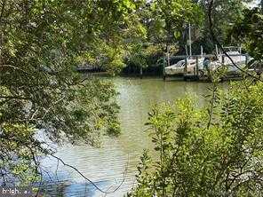 44 Robins Point Ave photo 5