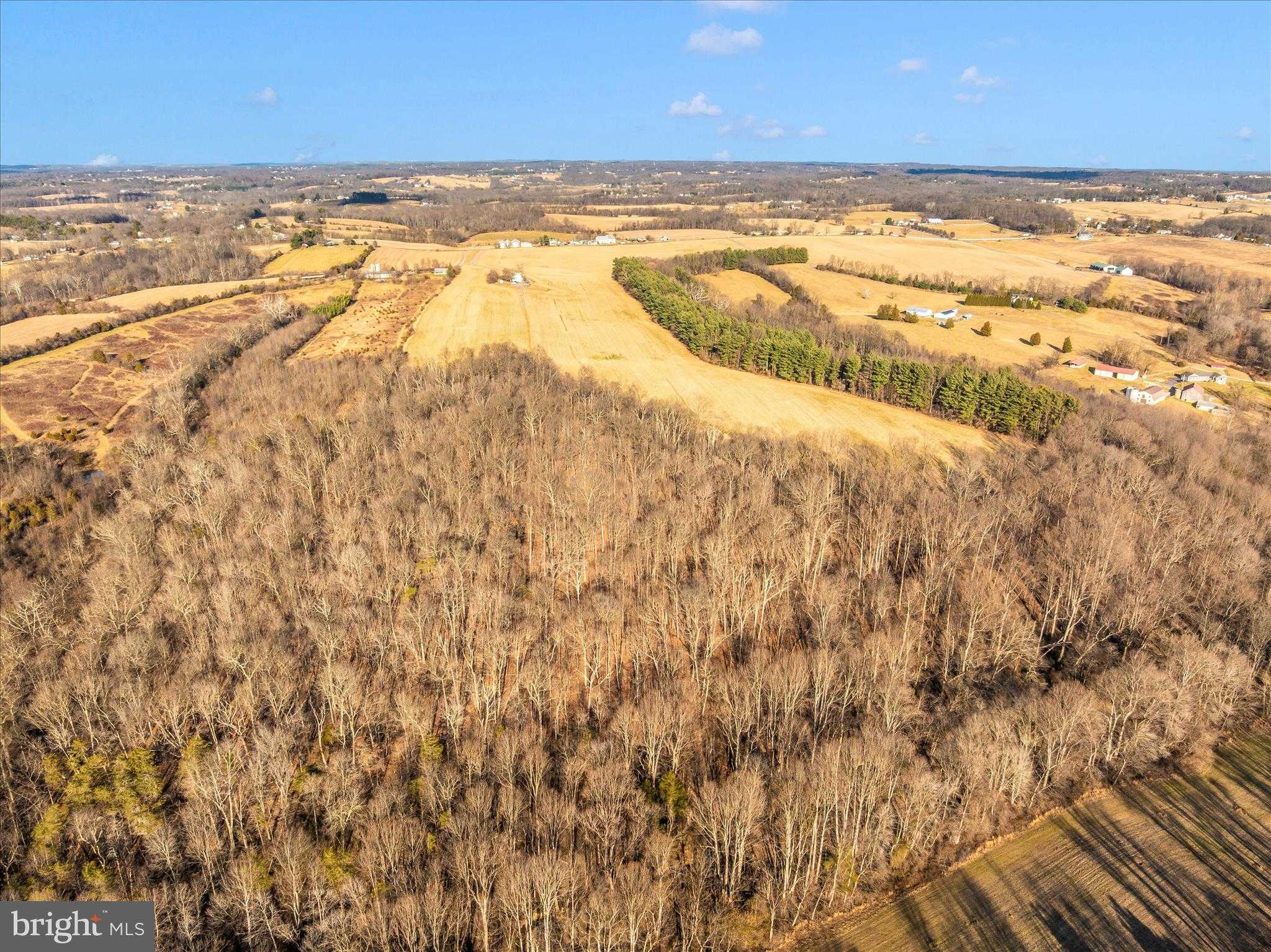 12420 Prices Distillery Rd photo 17