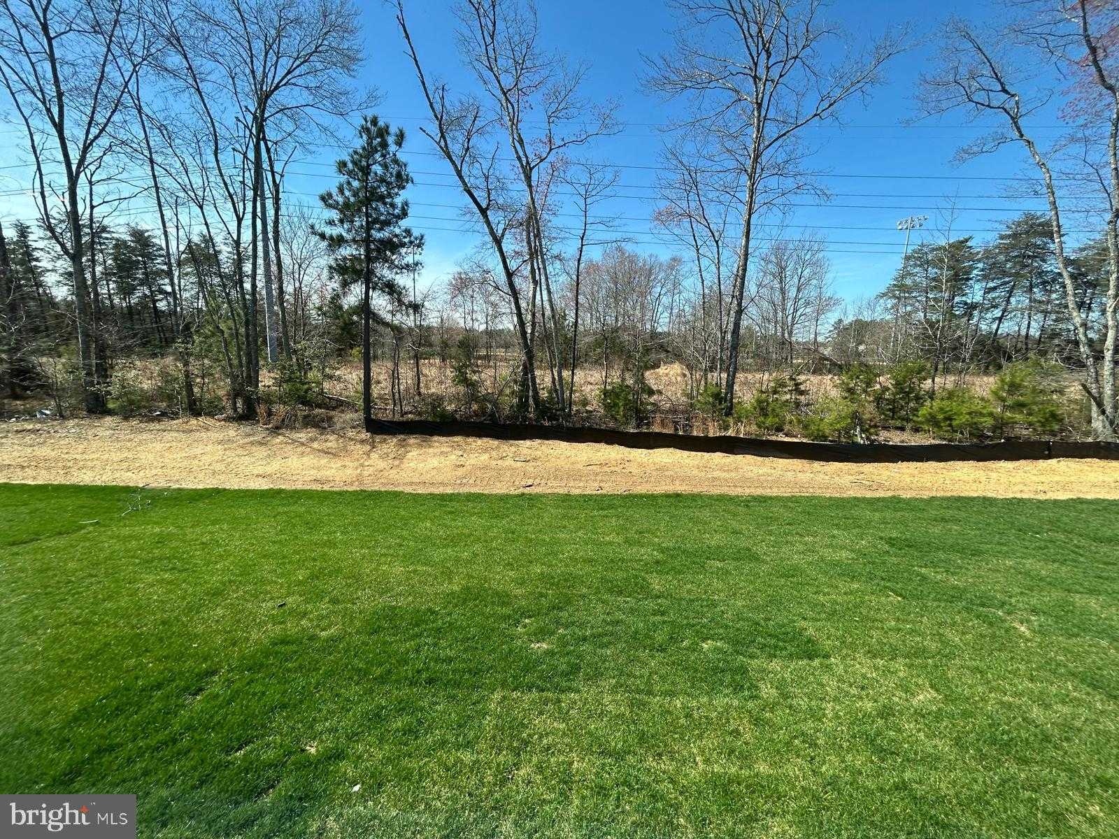 10095 Shenandoah Ln photo 3