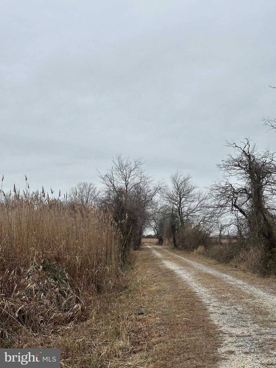 6520 Swan Creek Rd photo 58