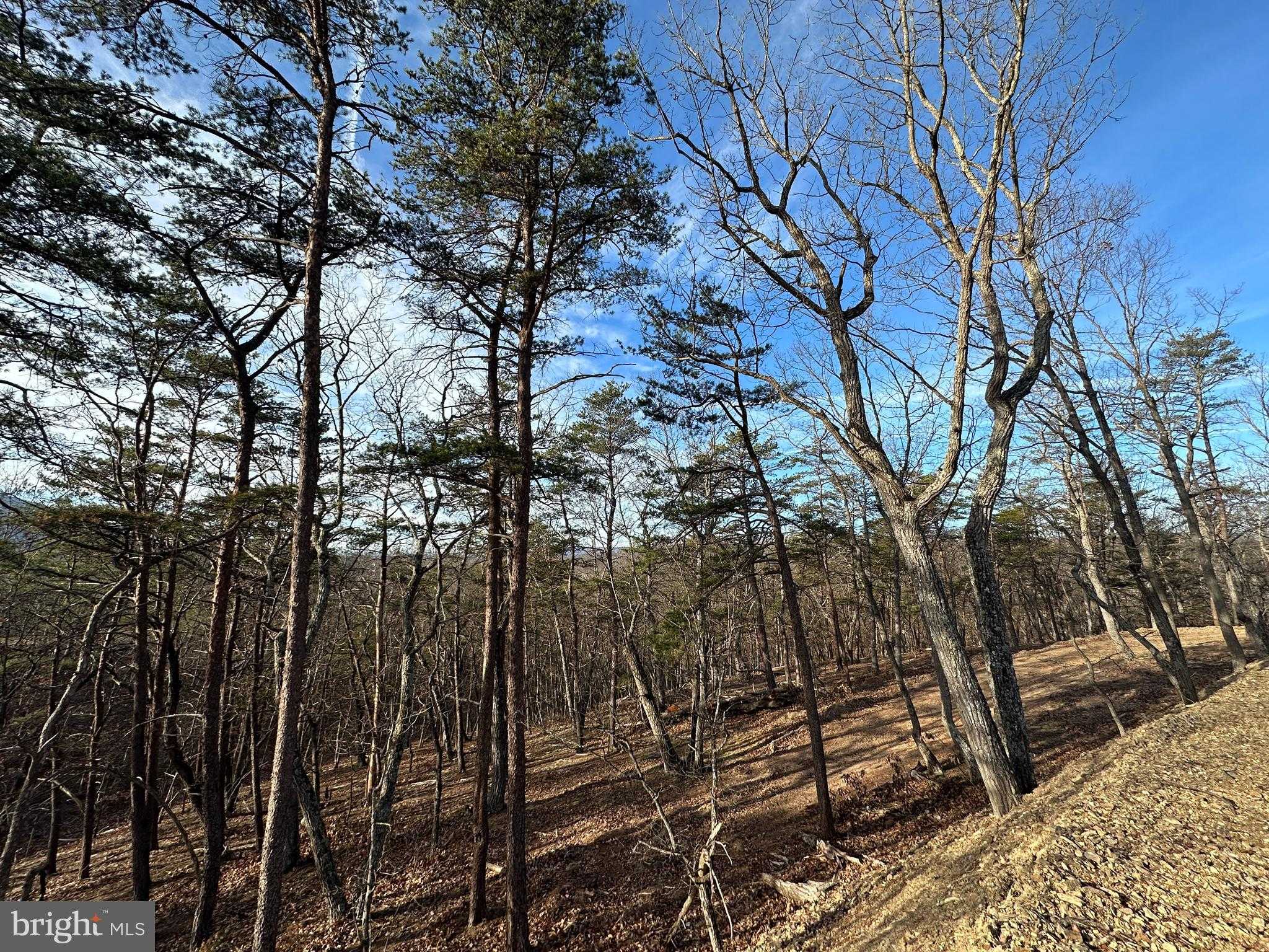 33 Fairview St photo 20