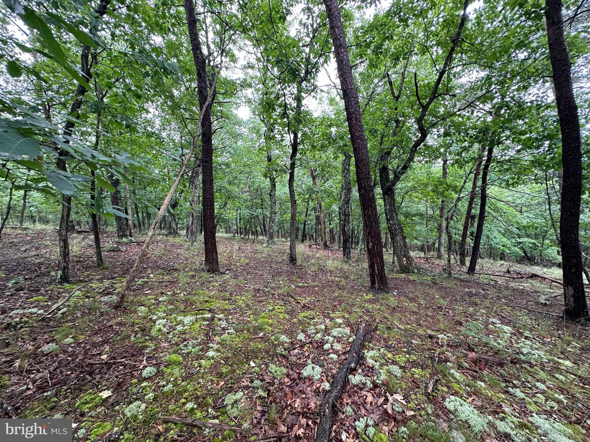 33 Fairview St photo 23