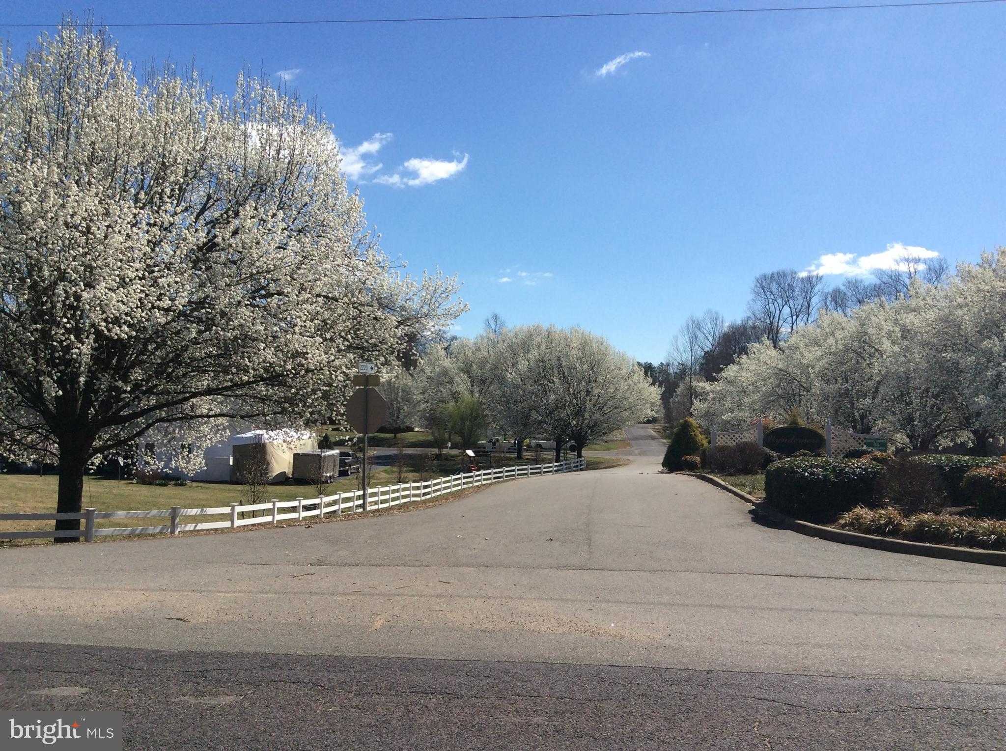 5501 Hickory Tree Ln photo 74