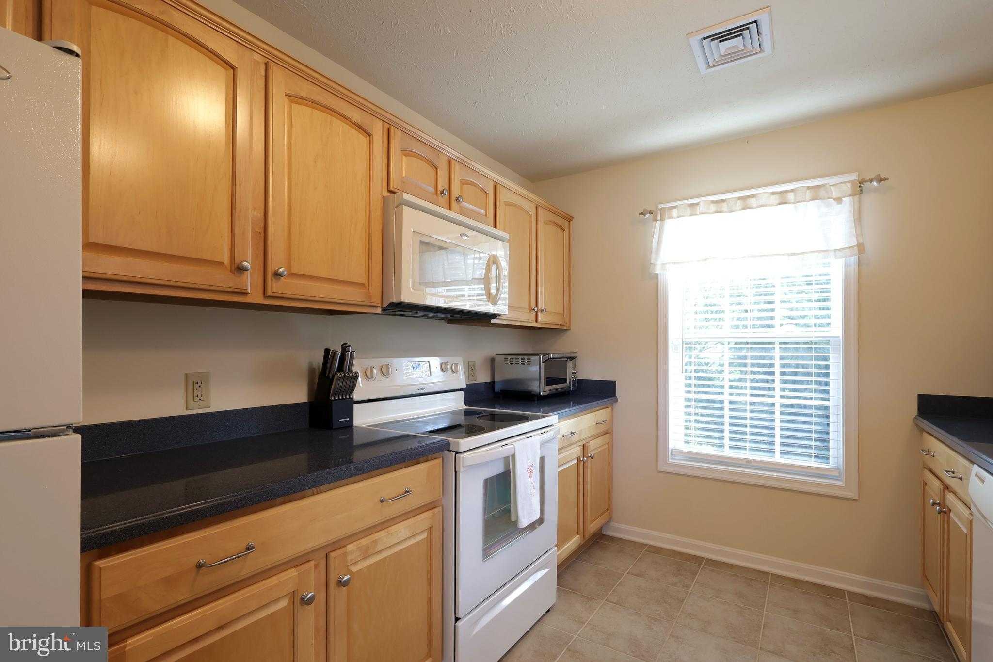 142 Alma Mater Ct photo 22