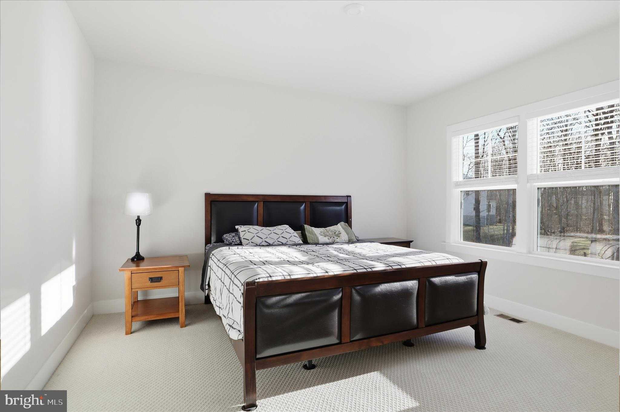 8781 Beechnut Springs Way photo 39