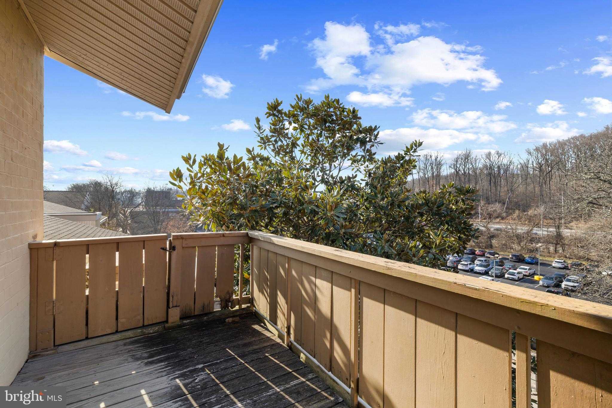 21 Hamill Rd Apt F photo 25