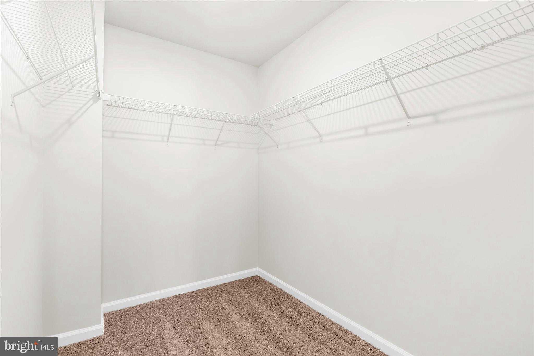 8131 Bartholomew CT photo 26