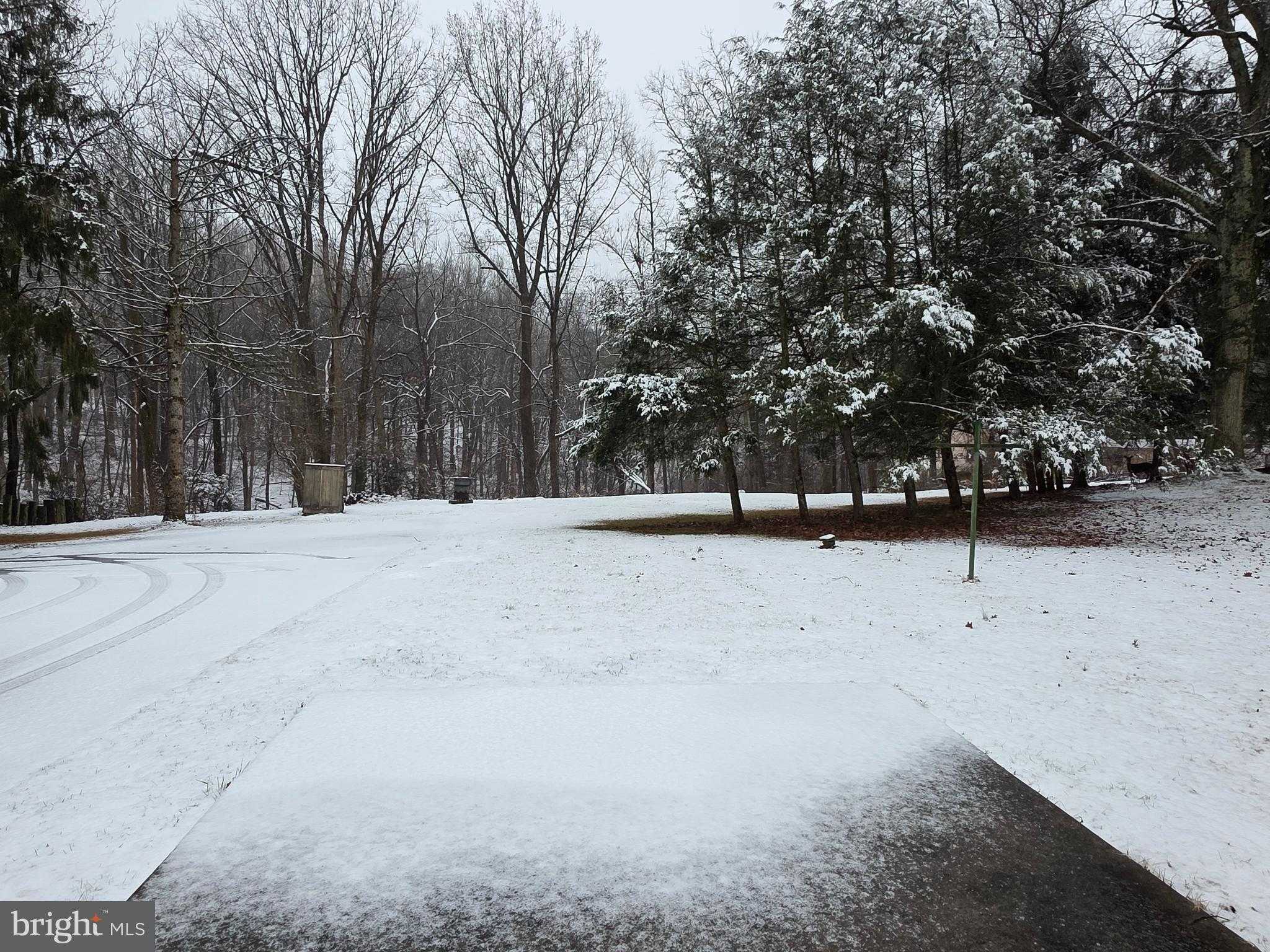 360 Pheasant Rd photo 25