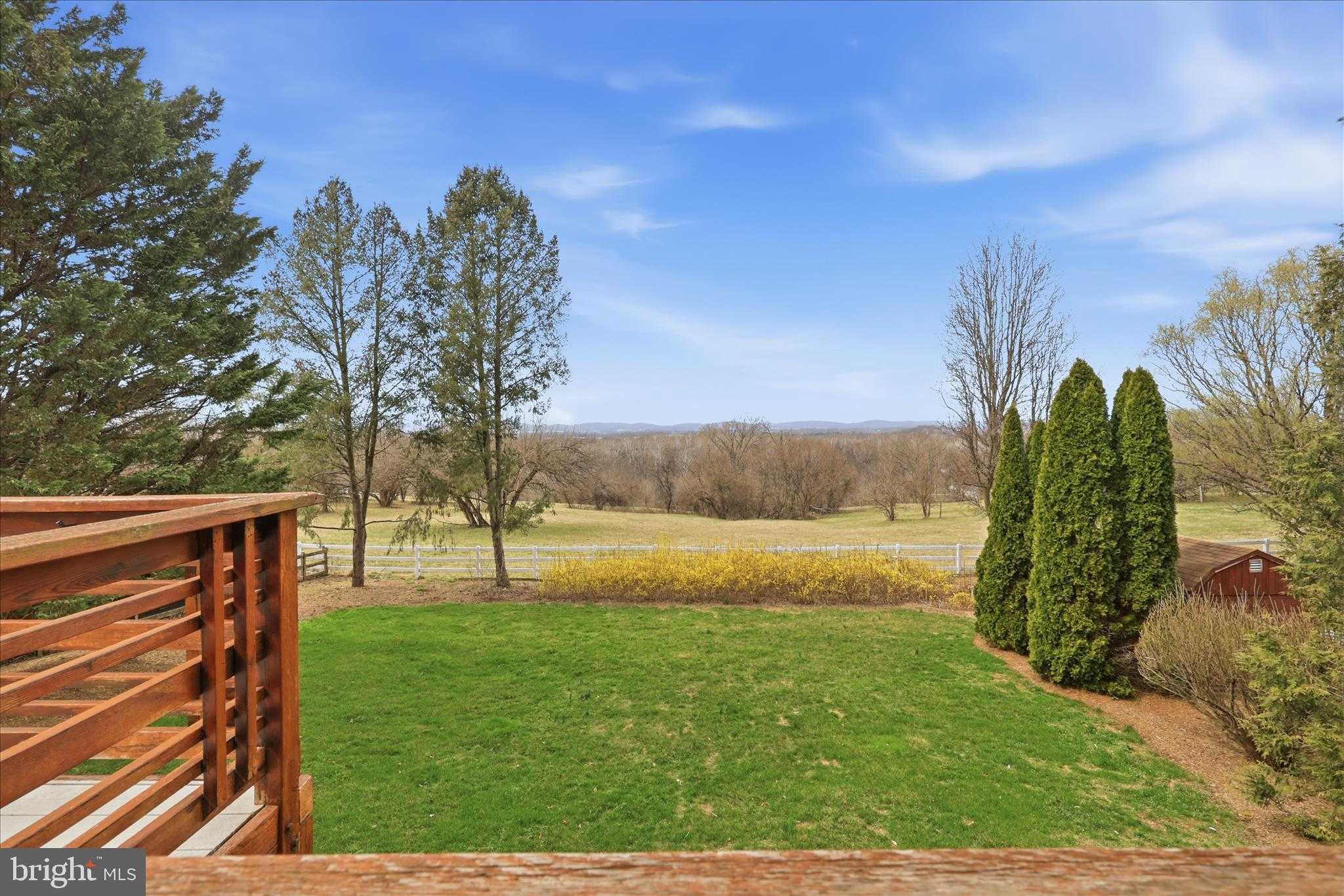 3415 Tudor Dr photo 36