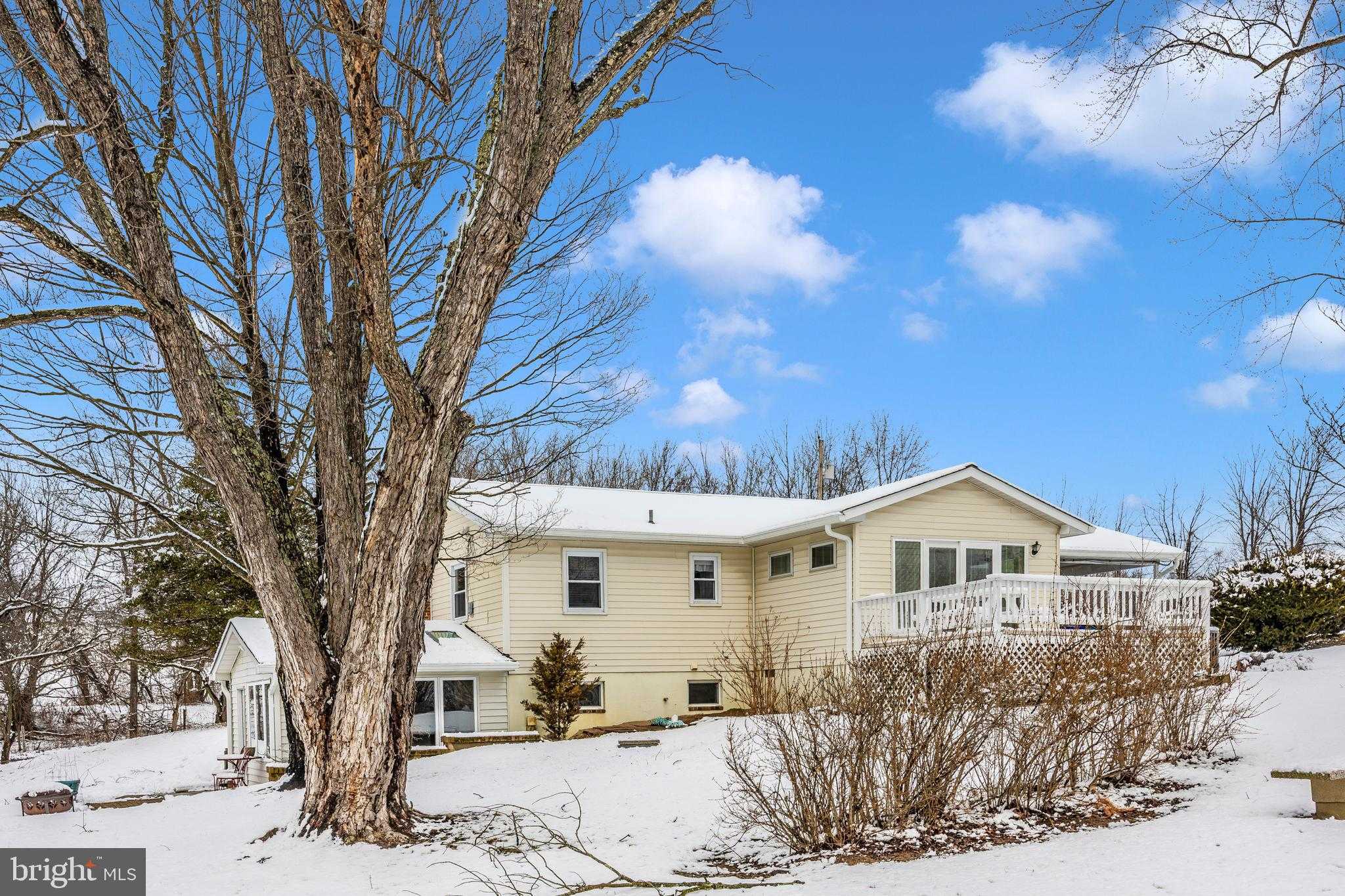 11511 Crickenberger Rd photo 35