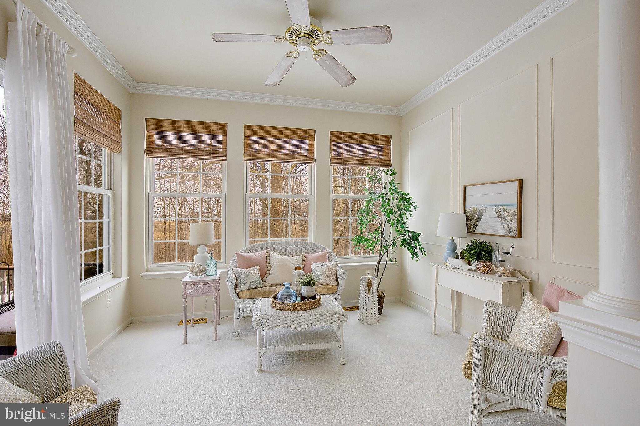 7931 Delores CT photo 18