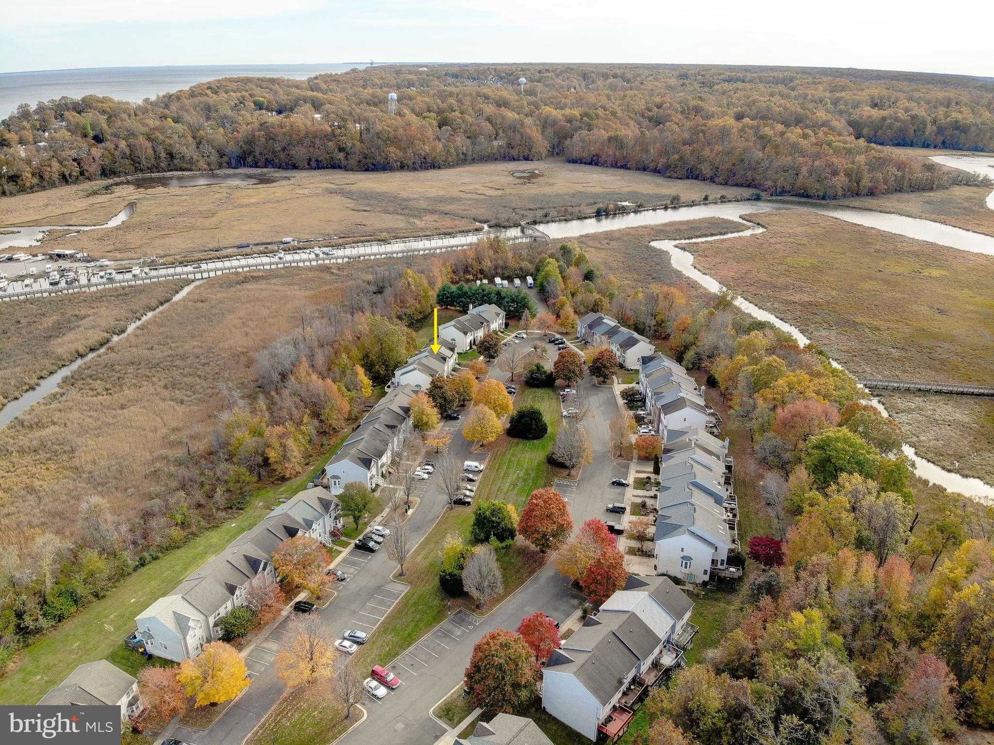 7931 Delores CT photo 45