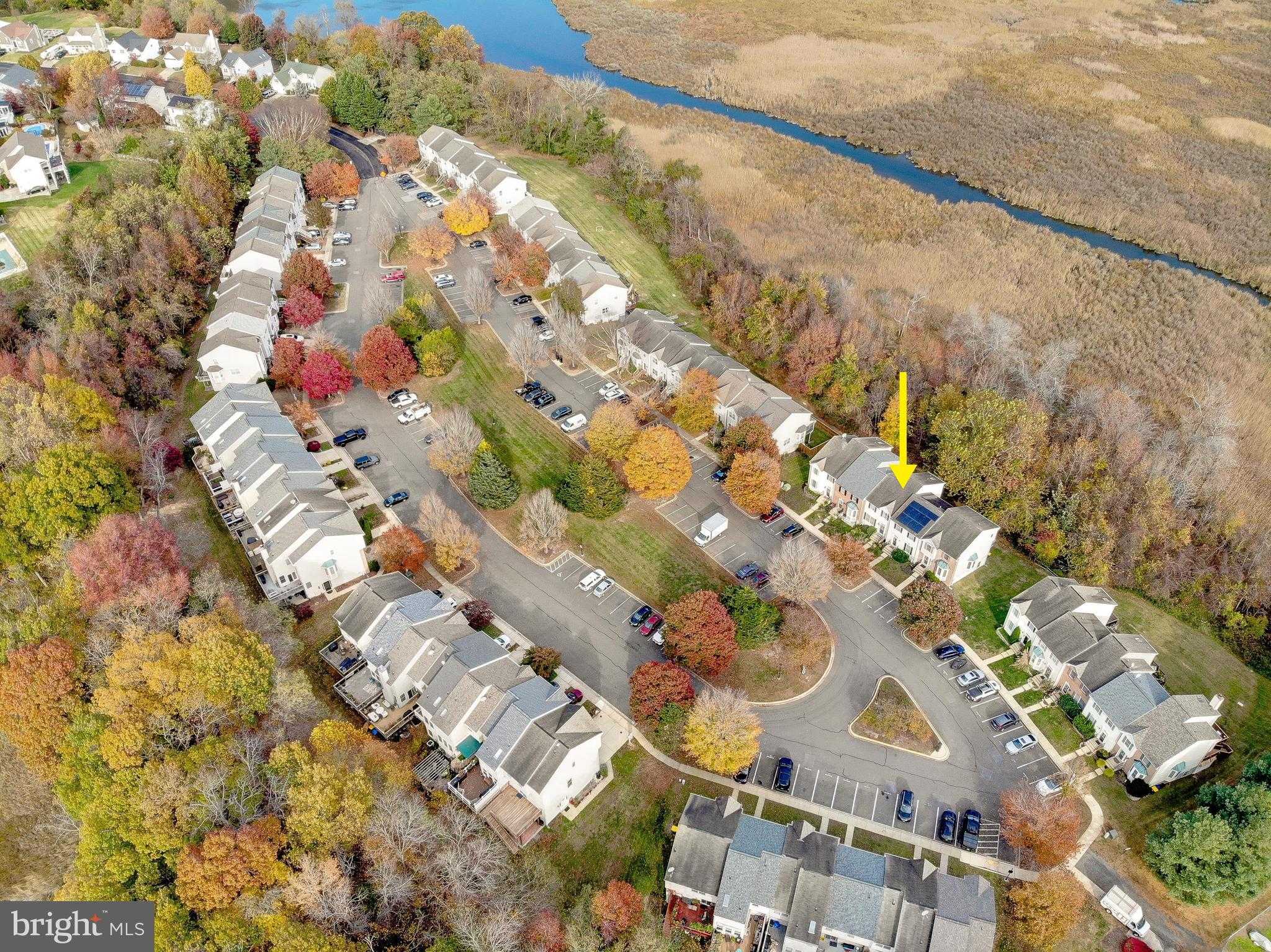 7931 Delores CT photo 46