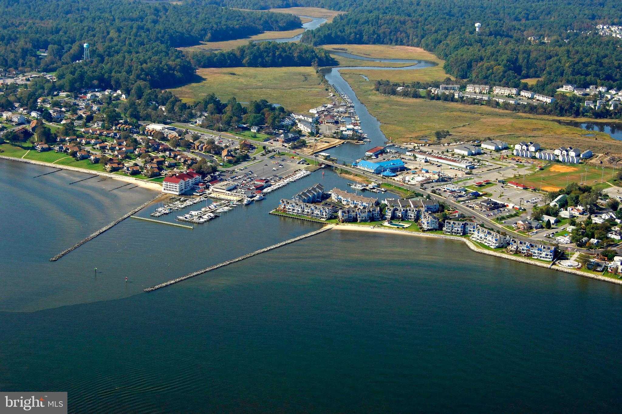 7931 Delores CT photo 49